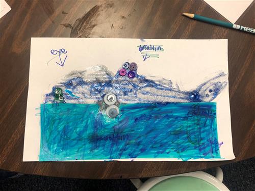 Shark 1 